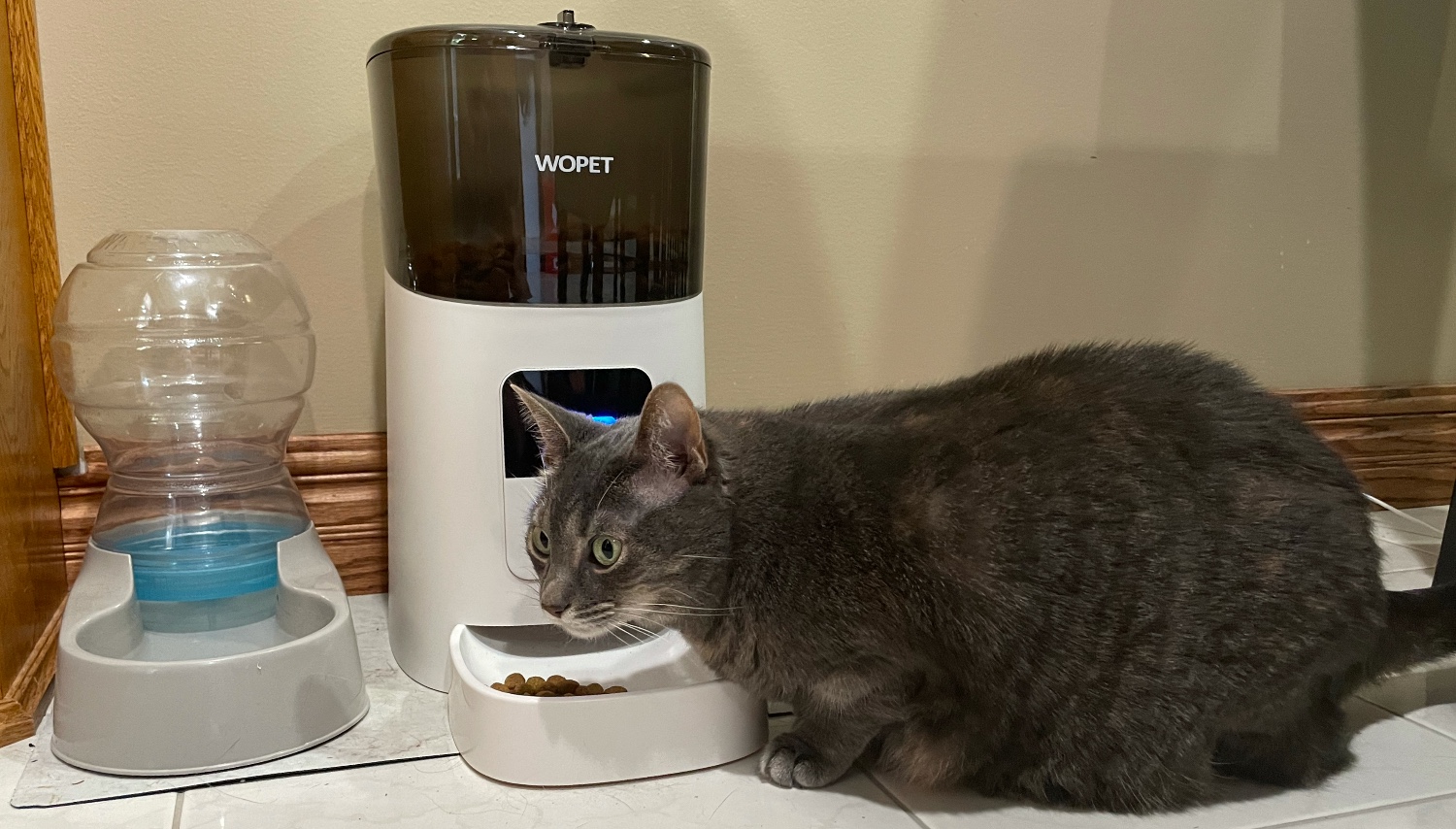 Charlie with her new Robo Feeder