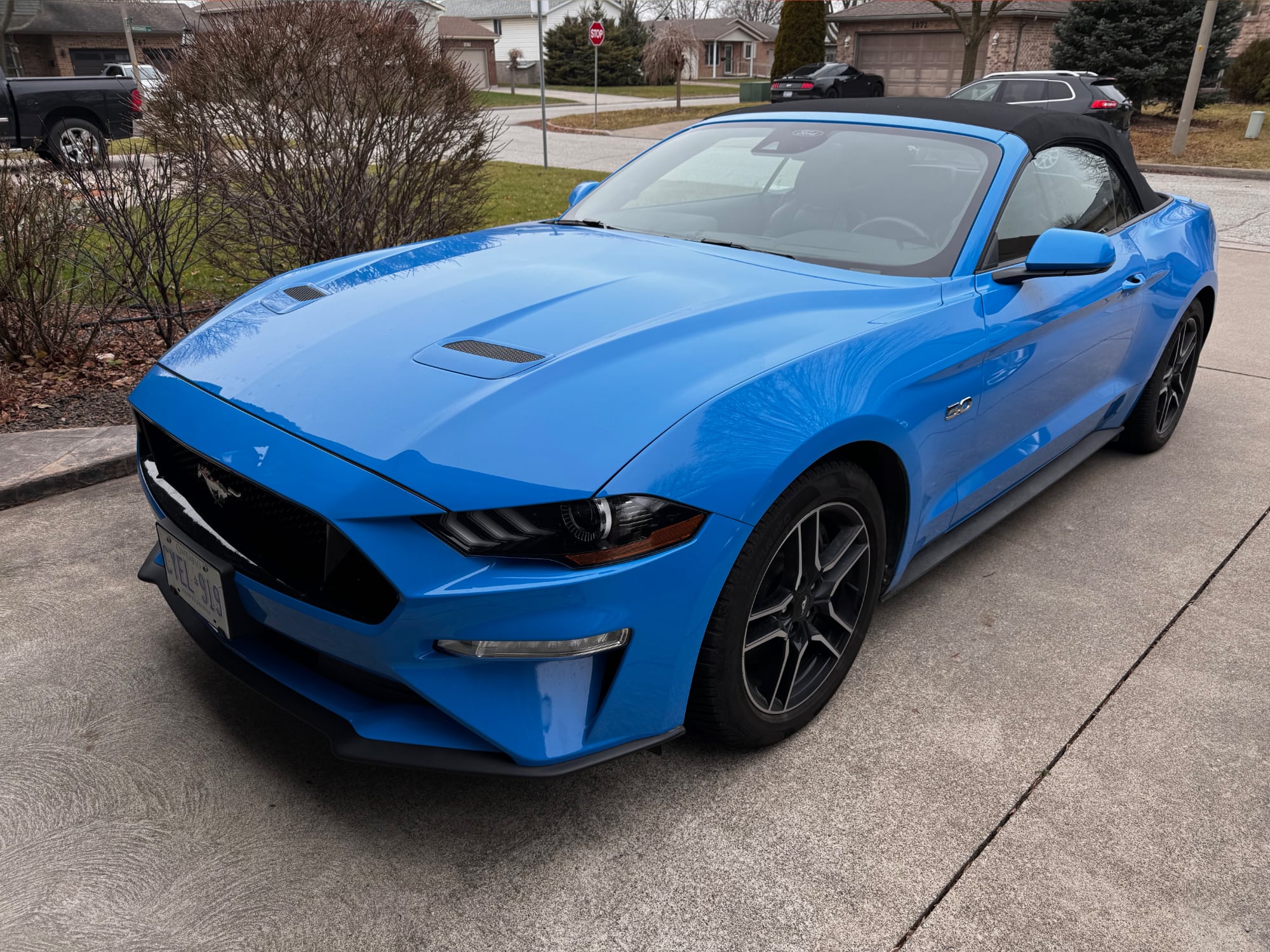 Mustang 5.0