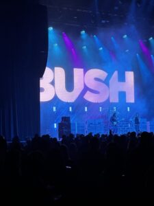 Bush