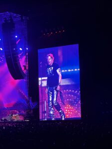 Guns 'n Roses
